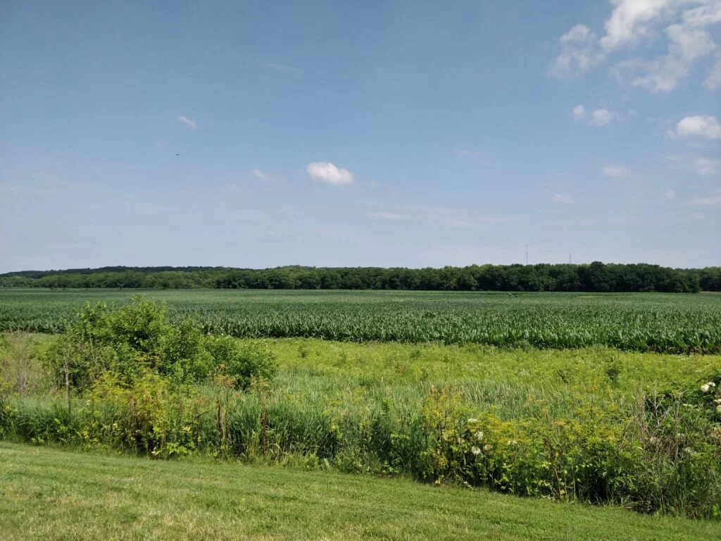 Iowa Rest Stop Cornfield