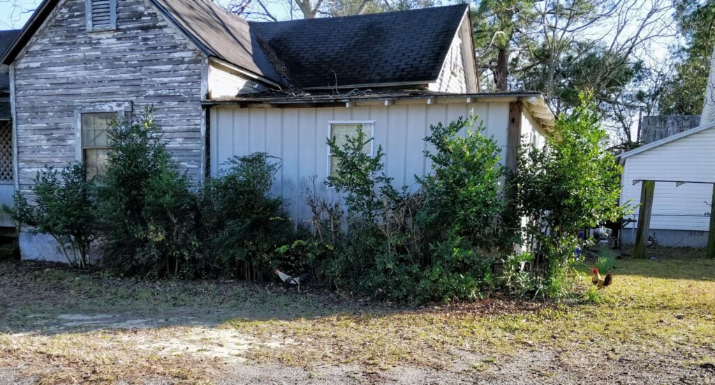 Fitzgerald Chicken By Side of House